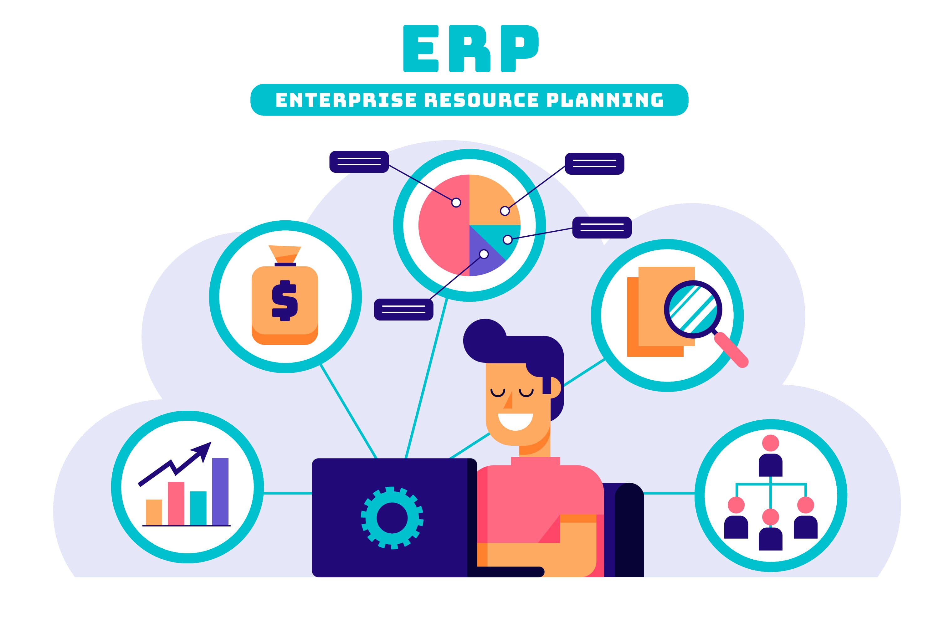 ERP & Software Services